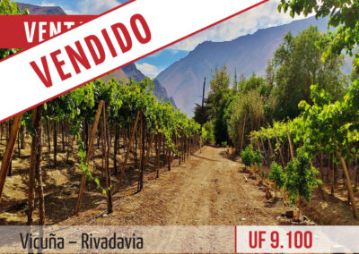Terreno | Propiedad agrícola, parronales en producción